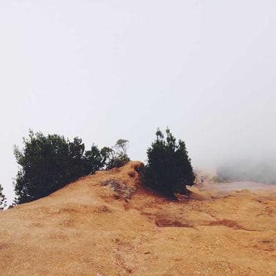 Ekonomik Mobilya, Ahşap Ürünü 14