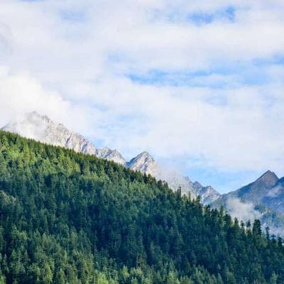 Lüks Mobilya, Ahşap Ürünü 16