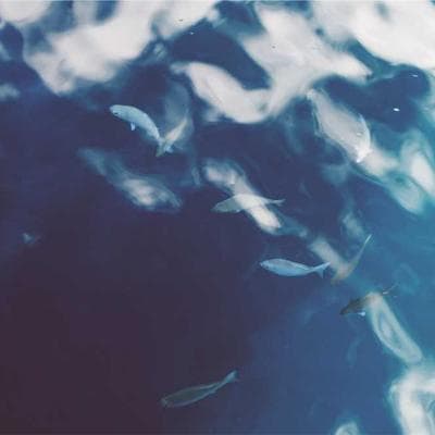 Doğal Mobilya, Ahşap Ürünü 13