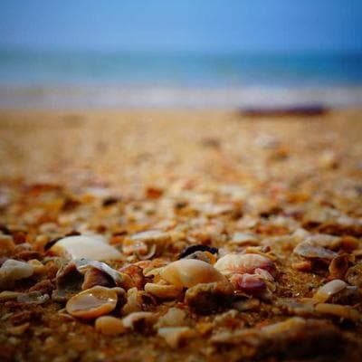 Doğal Mobilya, Ahşap Ürünü 5