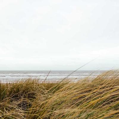 Özel Üretim Mobilya, Ahşap Ürünü 7