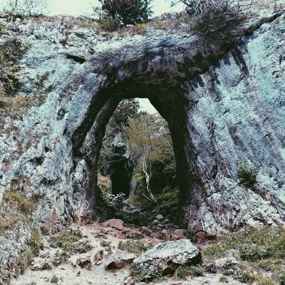 Lüks Mobilya, Ahşap Ürünü 12