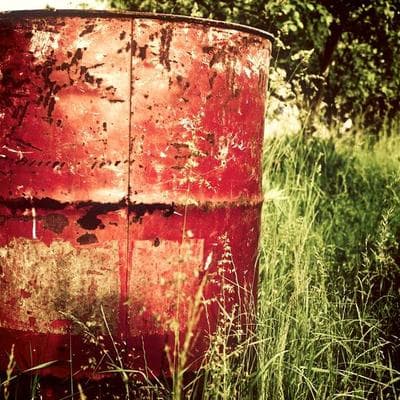 Özel Üretim Taze Sebze Ürünü 11