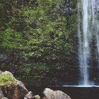 Taze Sebze Firması 10
