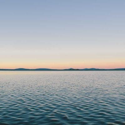 Lüks Taze Sebze Ürünü 12