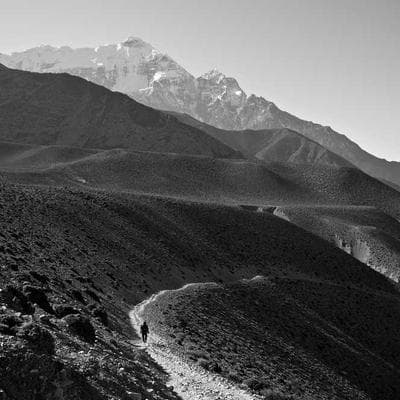 Kaliteli Taze Sebze Ürünü 7