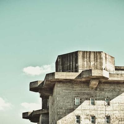 Sertifikalı Taze Sebze Ürünü 1