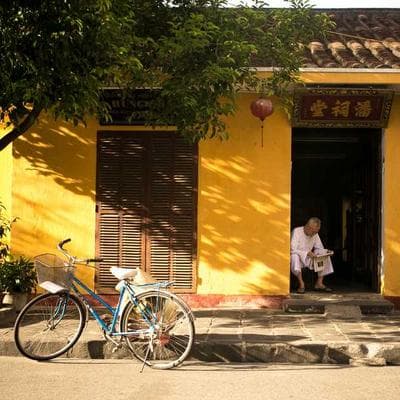 Yeni Sezon Taze Sebze Ürünü 20