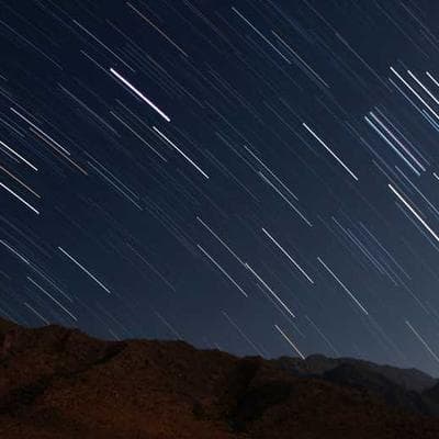 İthal Taze Sebze Ürünü 14