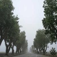 Taze Sebze Firması 13