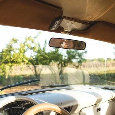 Ekonomik Taze Sebze Ürünü 13