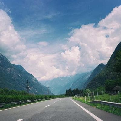 Yerli Taze Sebze Ürünü 16