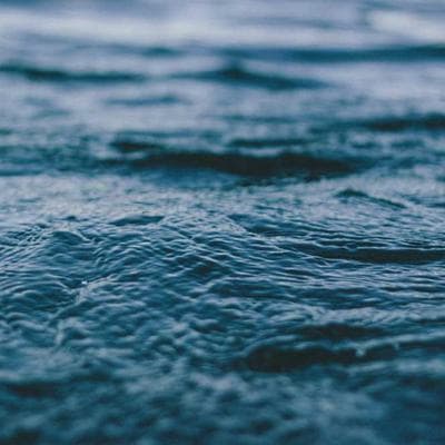 Kaliteli Taze Sebze Ürünü 2