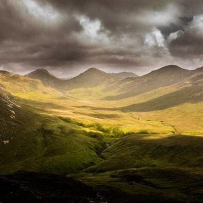 Organik Taze Sebze Ürünü 3