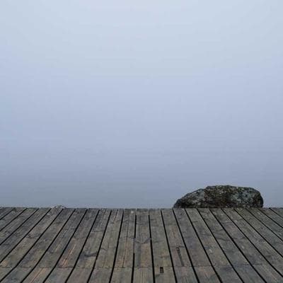 Kaliteli Taze Sebze Ürünü 8