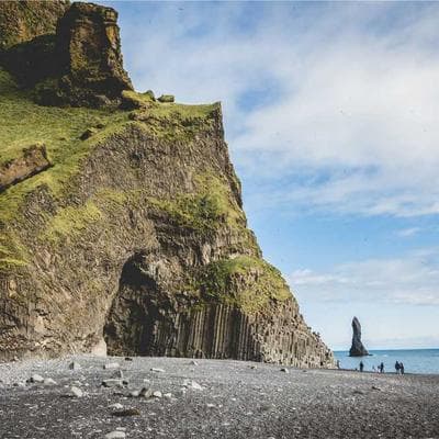Doğal Taze Sebze Ürünü 9