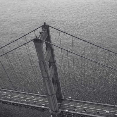 Yerli Taze Sebze Ürünü 13