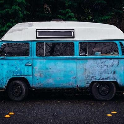 Organik Taze Sebze Ürünü 14