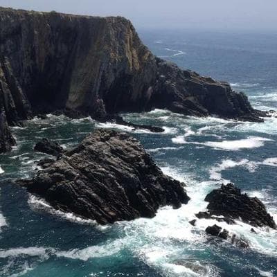 Doğal Taze Sebze Ürünü 2