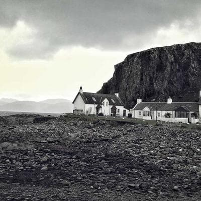 Sertifikalı Taze Sebze Ürünü 1