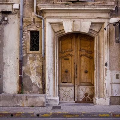 Özel Üretim Taze Sebze Ürünü 15