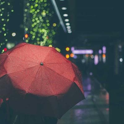 Sertifikalı Taze Sebze Ürünü 6