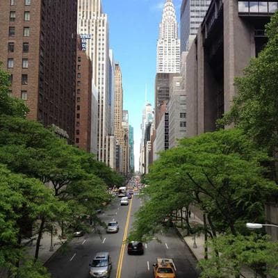 Organik Taze Sebze Ürünü 7