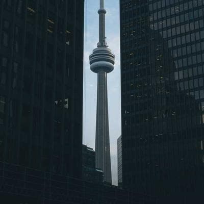 Organik Taze Sebze Ürünü 10