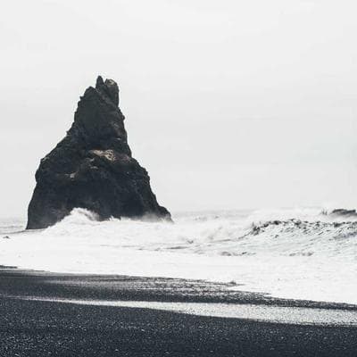 Özel Üretim Taze Sebze Ürünü 13