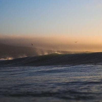 Organik Taze Sebze Ürünü 19