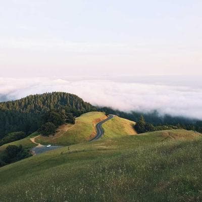 Özel Üretim Taze Sebze Ürünü 3