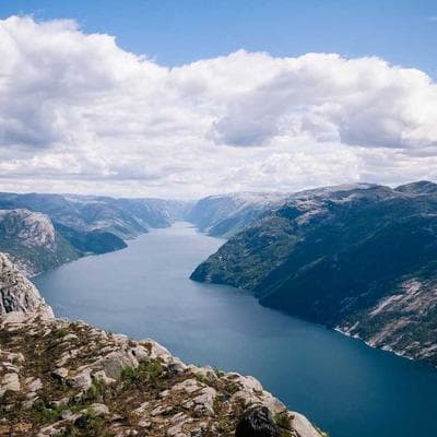 Yerli Taze Sebze Ürünü 9