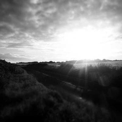 Özel Üretim Taze Sebze Ürünü 2