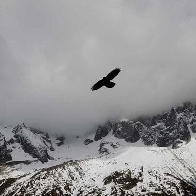 Özel Üretim Taze Sebze Ürünü 4