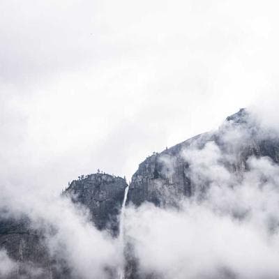 Yerli Taze Sebze Ürünü 9