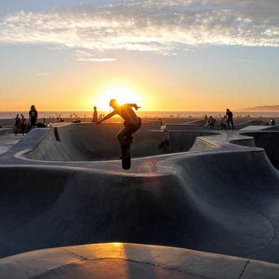 Özel Üretim Taze Sebze Ürünü 20