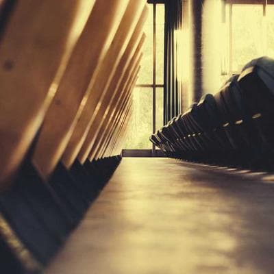 Lüks Taze Sebze Ürünü 14