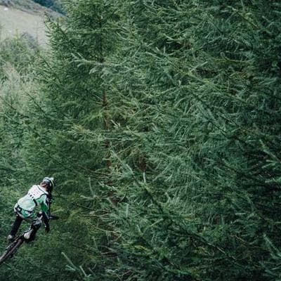 Lüks Taze Sebze Ürünü 16