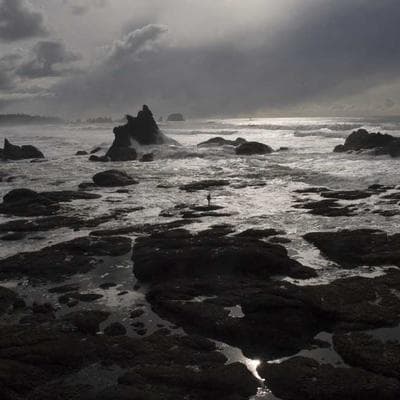 Lüks Taze Sebze Ürünü 1