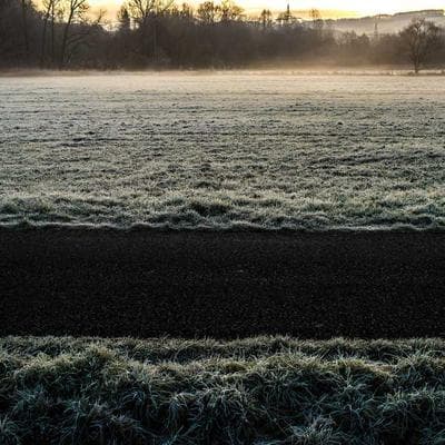 Lüks Taze Sebze Ürünü 10