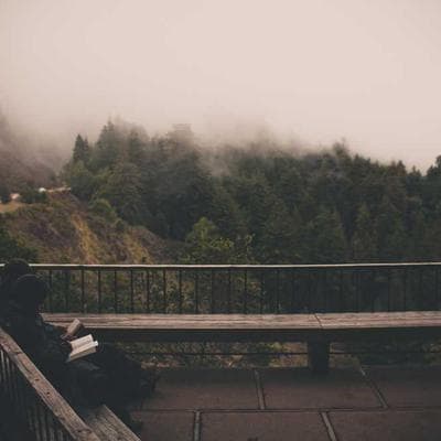 Özel Üretim Taze Sebze Ürünü 13