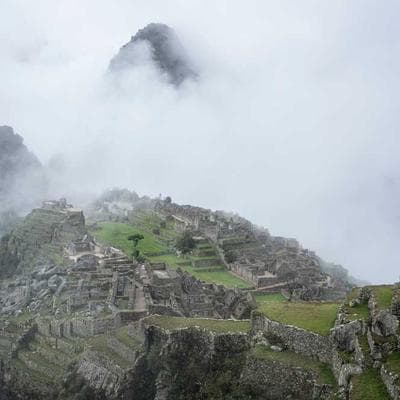 Yerli Taze Sebze Ürünü 1