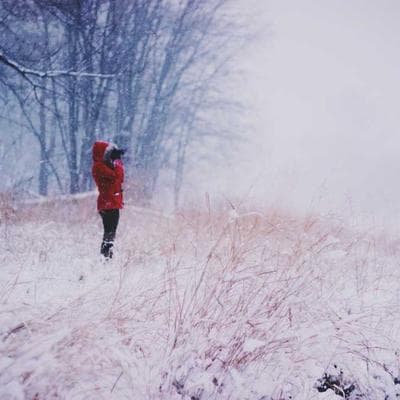 Organik Taze Sebze Ürünü 14