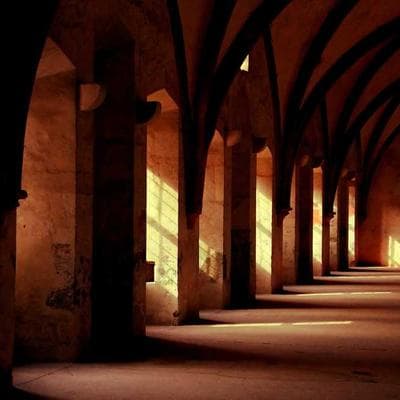 Yeni Sezon Taze Sebze Ürünü 18