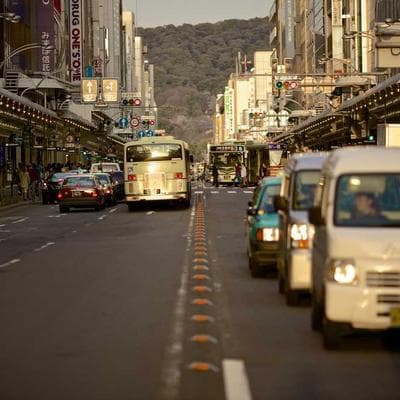 Lüks Taze Sebze Ürünü 1