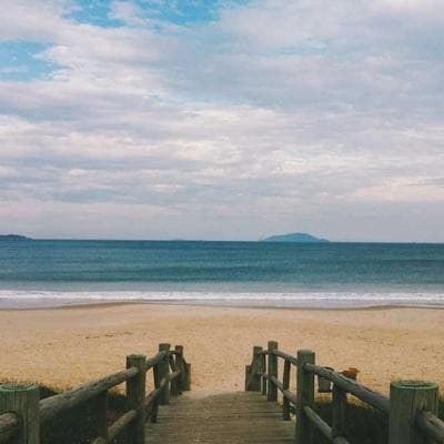 Ekonomik Taze Sebze Ürünü 11