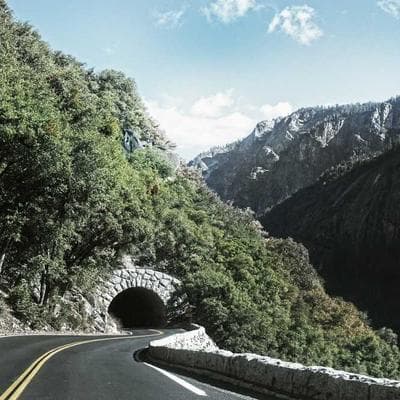 Ekonomik Taze Sebze Ürünü 13