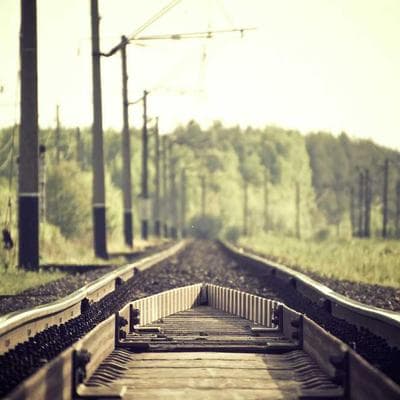 Ekonomik Taze Sebze Ürünü 4