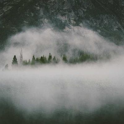 İthal Taze Sebze Ürünü 1