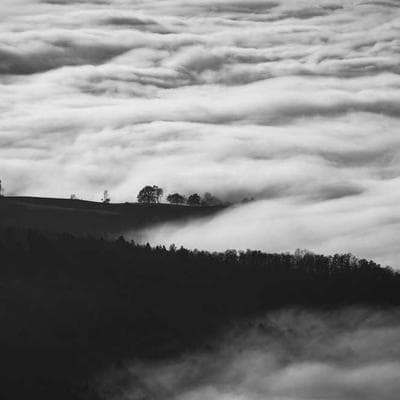 Sertifikalı Taze Sebze Ürünü 12